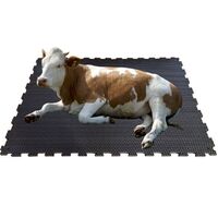 dairy cow horse stable stall animal rubber flooring mat