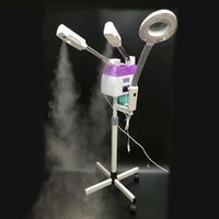 Facial Steamer 3 In 1 Skin Care Facial Steamer With Magnifying Lamp