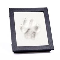 Hot Sale Dog Or Cat Paw Print Pet Keepsake Photo Frame With Pet Clay Paw Print Kit