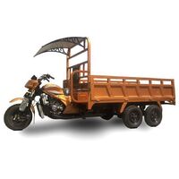 3 TON 300cc Double Rear Axle 5 Wheel TOP-LEVEL Cargo Tricycle