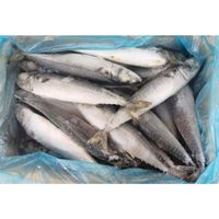 300g frozen pacific mackerel with high quality