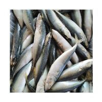 Frozen Fresh chub mackerel Pacific Mackerel