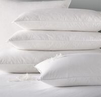 2020 Selling Custom Genuine Soft Goose/Duck Feather and 100% goose down pillow Fill White Pillows Inserts