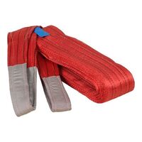 5t 100% Polyester Lifting Webbing Sling Cargo Lashing Straps