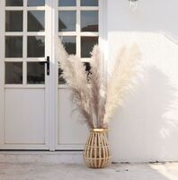 Nature Dry flower decoration wholesale pampas grass dried flowers