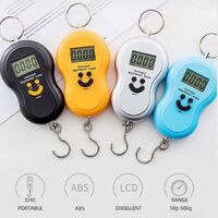 mini hook scale 50kg for luggage personal scale