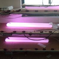 500W Red Bulb Induction Grow Light for Indoor can yield in basement garage