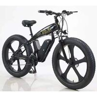 Most Attractive Ebike 1000w 48v Electric mountain Bike Aluminum Alloy Fat Bike Beach Cruiser bicycle big tires e bike for adults