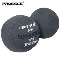 Promotion Special Material Wall Ball for Muscular Training