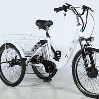 EU Popular Electric Bicycle Three Wheel E-Bike Old Men Children Outdoor Tourney Vehicle E-Bike