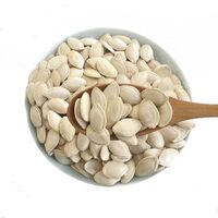 New Crop High Quality Wholesale Bulk Snow White Shine Skin Pumpkin Seed