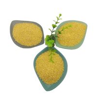 Food Grade Protein-Rich Organic Foxtail Millet Gluten-free Grain Yellow Millet Hulled Millet for Porridge