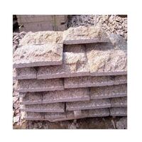 Granite Misty Yellow Mushroom Wall Cladding Stone Tiles Very Cheap Chinese Free Contemporary Grade a Villa Lifetime SINOSCENERY