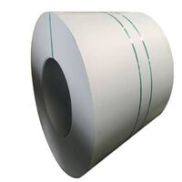 Electrolytic iron coii/strip Anti-finger Print SECC EN Coil Electro galvanized sheet in roll for home appliances