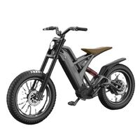 Bafang Motor rear Drive Motor Electriques Bicicleta Electric Bike Removable Battery Bicycle Mountain 7 Speed Electric Bike