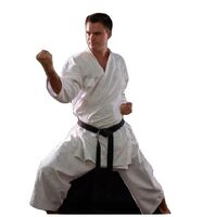 Karate Uniform Gi New Arrival Cheap Price Custom Black Martial Arts Uniform Taekwondo Suits