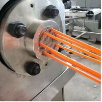 2019 New material Tapioca rice edible straws biodegradable disposable drinking rice straws making machine