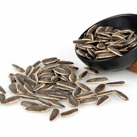 Export Big Size Black And White Stripe Sunflower Seeds 361