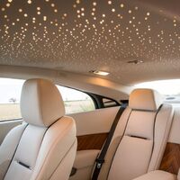 Twinkle Fiber Optic Roof Light Ceiling Starlight Headliner for car