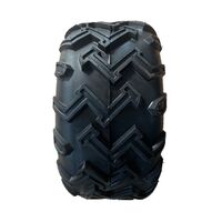 Made in China High Quality ATV Tires 22x10-10 ATV UTV accessories