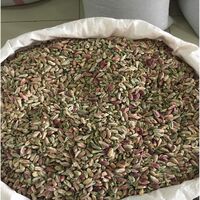 Dried Food Fresh Shelled Pistachios Nuts Wholesale pistachios without shell