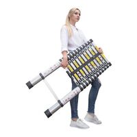 Excellent Quality Customized Color Telescopic Aluminum Ladder