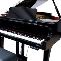 Self player Piano System for Digital Piano and Acoustic Piano