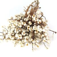 Factory dried mini flower chinese tallowtree dried white flowers dried flowers for candle making