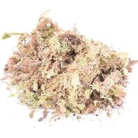 Garden Sphagnum Moss Moisturizing Nutrition Organic Fertilizer For Phalaenopsis Orchid