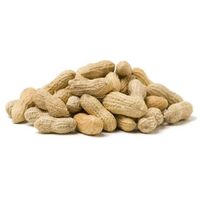 Factory Supply High Quality Peanut in Peanut Shell And Kernel Price With Best Prices