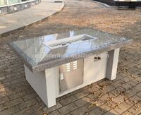 Hot selling cheap price propane outdoor firepit table with rectangle stainless fire pit pan made in China