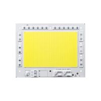 OEM DOB LED Chip AC220V 50W 100W 150W 200W 100LM/W DIY for flood light 2.5KV surge Protection led chip