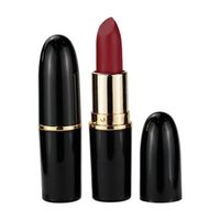 Makeup non-stick cup non-fading bullet lipstick velvet fog matte bullet lipstick tube private label lipstick bullet