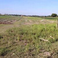 Land for sale in the Philippines