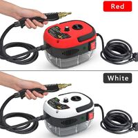 Small and portable to remove high temperature powerful steam cleaner stains professional steam cleaner 2500W can add OEM support