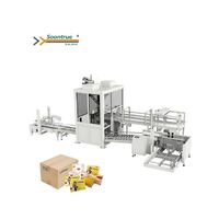 China Efficient Cartoner Automatic Carton Packing Machine