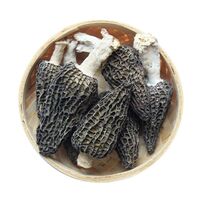 Naturally grown wild dried morels / wholesale price morels mushrooms