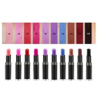 10 Colors No Logo Makeup Supplier China Lip Makeup Applicator Matte Private Label Lipstick