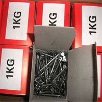 1kg ordinary round wire nails per box