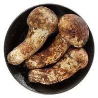 China Wild Fresh Matsutake Organic Mushroom High Nutrition Mountain Treasure Wild Matsutake