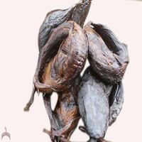 Wholesale smoked catfish/dried fish, smoked catfish/smoked catfish, dried tasty catfish for sale