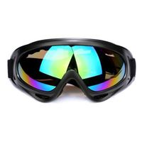 2021 Customized Logo Protection Sunglasses Snowboard Winter Glasses UV400 Anti-Fog Ski Glasses