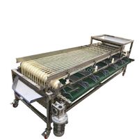 MS fruit and vegetable grading machine Fruit calibration machine