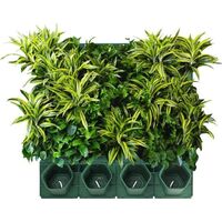 Custom Color Pot Patented Product Vertical Green Wall System Indoor Green Wall