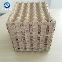 Inexpensive egg trays for sale in colorful packaging