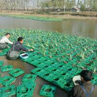 Ecological floating island for river management