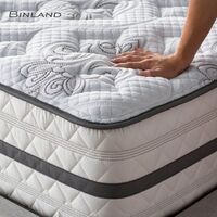 Europe Top Custom Factory Supply King Bed Full Size Foam Pocket Spring Hotel Bed Mattress Box