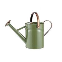 Handmade Custom Logo Print Fancy Fashion Cute Handmade Designer Personalized Garden Galvanized Watering Can