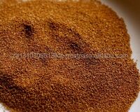 Teff Grain, Teff Flour