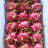 pitaya